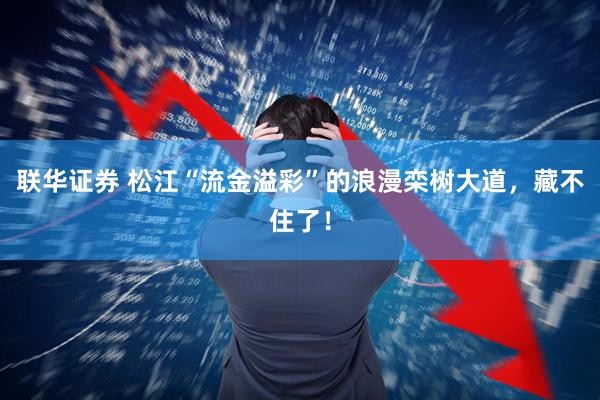 联华证券 松江“流金溢彩”的浪漫栾树大道，藏不住了！