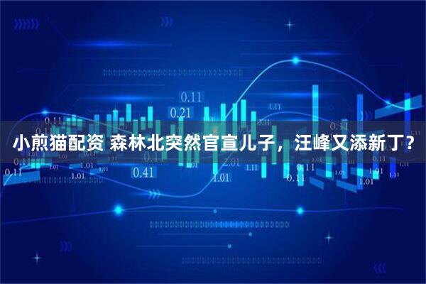 小煎猫配资 森林北突然官宣儿子，汪峰又添新丁？