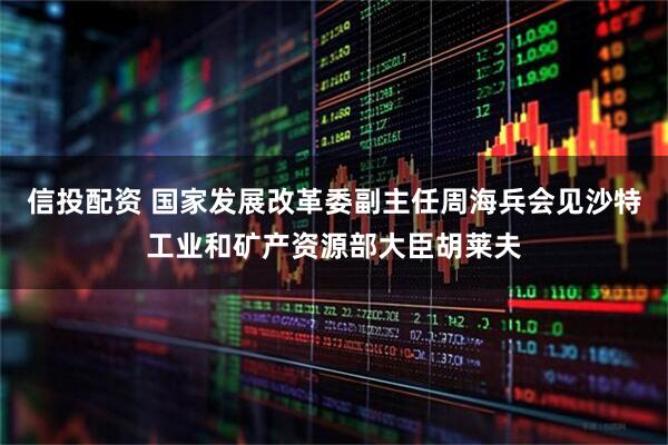 信投配资 国家发展改革委副主任周海兵会见沙特工业和矿产资源部大臣胡莱夫