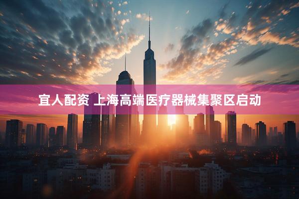 宜人配资 上海高端医疗器械集聚区启动